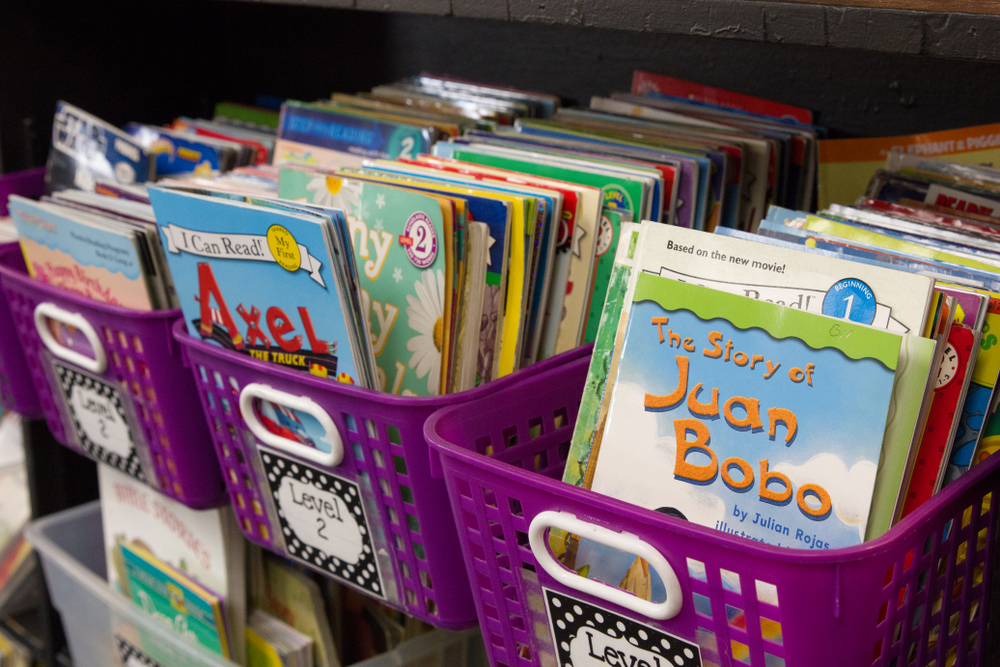 Classroom Library Organization with Book Bins