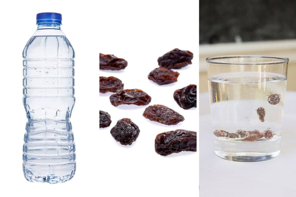 Dancing Raisins Science Experiment